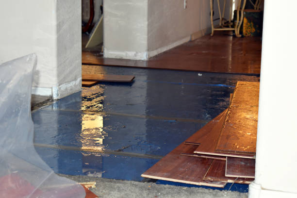 Professional Burst Pipe Cleanup technician working in Grimsley, TN
